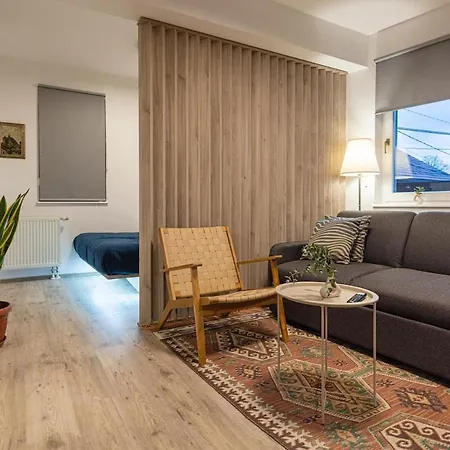 Nana's Atelier In The Old Town 公寓 塞拉耶佛