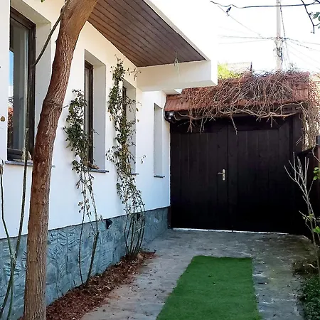 公寓 Nana's Atelier In The Old Town